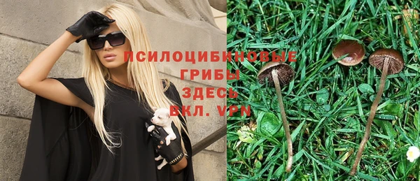 кокс Богданович