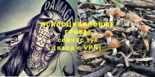 кокс Богданович
