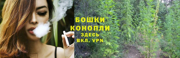 амф Богородицк