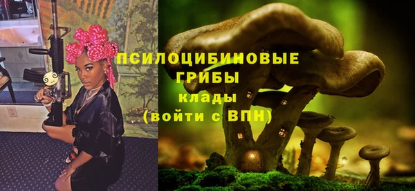 ALPHA PVP Богородск