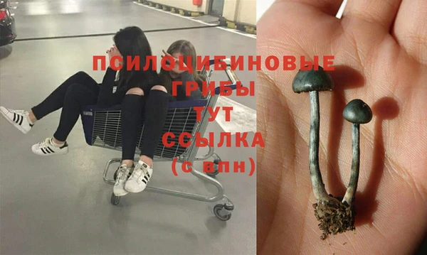 кокс Богданович