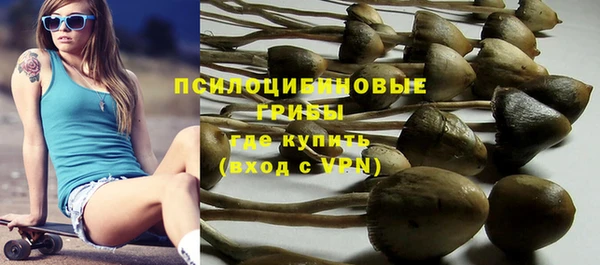 амф Богородицк