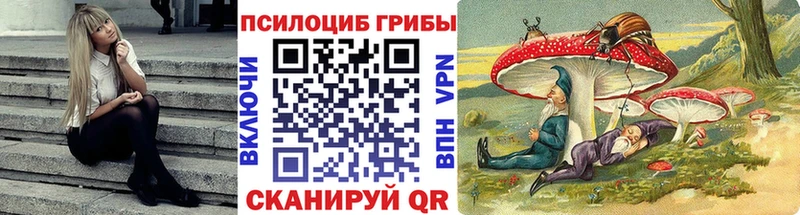 Галлюциногенные грибы GOLDEN TEACHER  Купить  Белоусово 